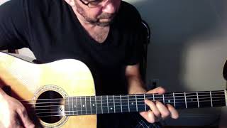 Fig Tree Bay-Peter Frampton Acoustic Guitar