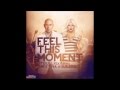 Feel This Moment Without Pitbull