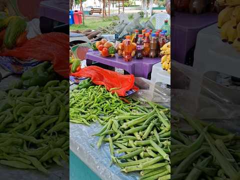 domingo na feira, Coivaras Piauí #cultura