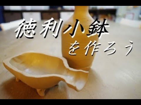 ダクチロリザについて詳しく解説