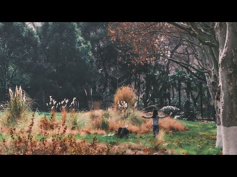 [FREE] BACKWHEN x Just Connor - Stay