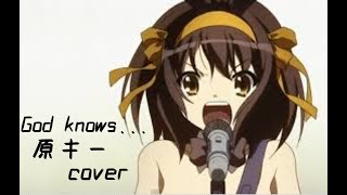 God knows...　covered by kms【男が原キーで歌ってみた】