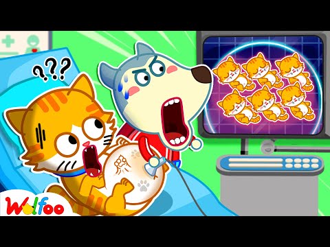 ???? LIVE: Wolfoo Found a Pregnant Cat! How to Take Care of Your Pet | Wolfoo Channel