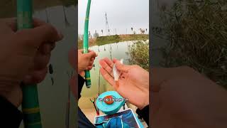 别让我看见你 钓鱼