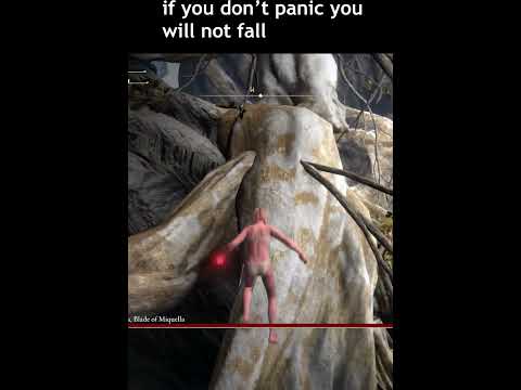 Malenia cheese ( climbing branch ) 27 May 2025 Works  #eldenring