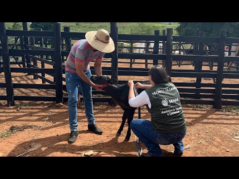 🌱🚜 Transforme sua produção com a Assistência Técnica e Gerencial do Senar Sergipe.