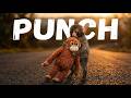 PUNCH Punch The Monkey Anti Bullying Loneliness Song Official Music Video R Music Media