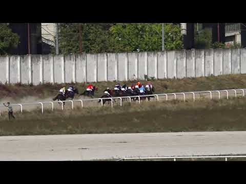 3.10.2021 Trka I - RESTORAN UZELAC - Hipodrom Beograd