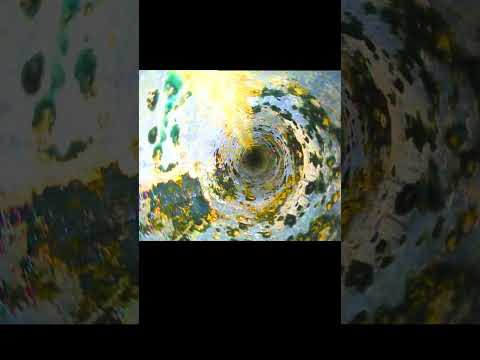 Remote Visual Inspection Services