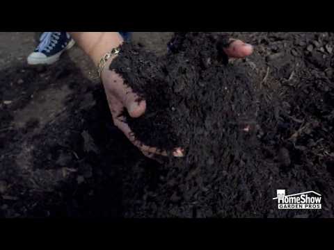 Mushroom Compost for Lawns & Gardens | Spring Top Dressing Guide