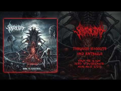 Scrotoctomy - Through Maggots and Entrails (Official Track)