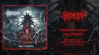 Scrotoctomy - Through Maggots and Entrails (Official Track)