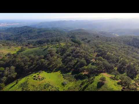 Land 13 hectares - Grândola