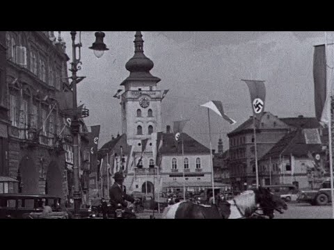 Sudetendeutsche und das Dritte Reich (Auskopplung aus "Das Saazer Land")