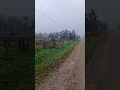 Aldea San Miguel. Dpto. Nogoya. Entre Rios. 3