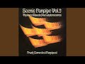 Panpipe Polka Remastered
