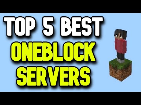 Finaq - TOP 5 BEST Oneblock Minecraft Servers in 2023