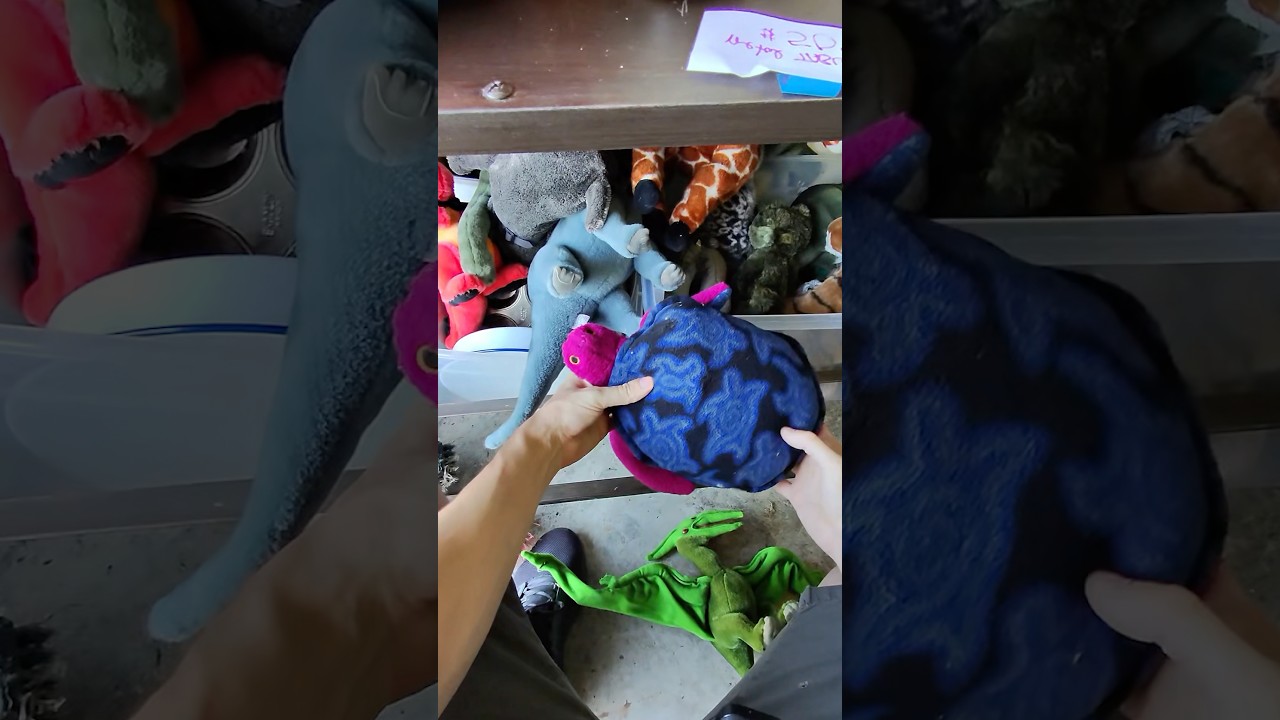 I Found a $600 Plush at a Garage Sale 😳