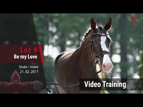 9 Be my Love  v. Benicio - Sir Heinrich_Trainingsvideo