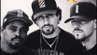 Cypress Hill - What Go Around Come Around live 1994 Woodstock