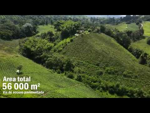 Lotes, Venta, Calima (Darién) - $350.000.000