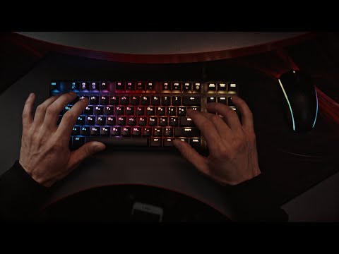 📹 Repórter Justiça – Segurança cibernética