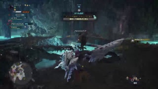 【MHW】仲良し兄弟でモンハンワールド【兄視点】