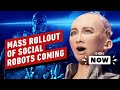 Mass Rollout of Social Robots Expected by End of 2021 - IGN Now