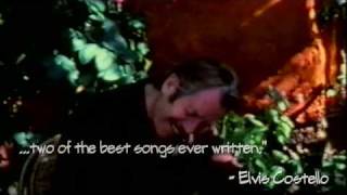 New Album "Tangled Tales" from Dan Hicks And The Hot Licks