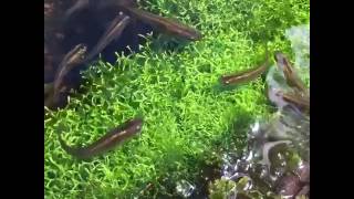 癒されますね。