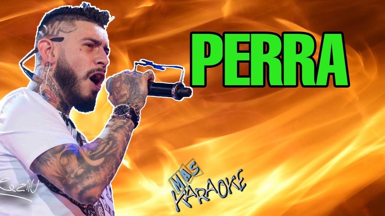 Perra