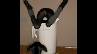 Приколы РАШАТУДОЙ №15 RT сборник новостей юморныхПАСАТРИ.