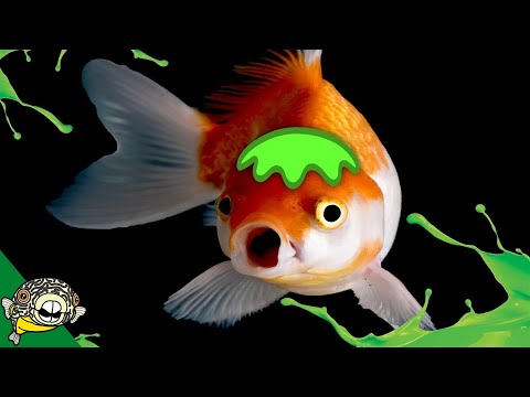 What is Old Tank Syndrome?