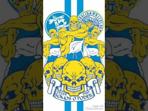 TERROR BICOLOR FAIXA 06