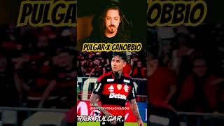 Pulgar X Canobbio Dublado! #dublagem #futebol #flamengo #fluminense #brasileirão #pulgar