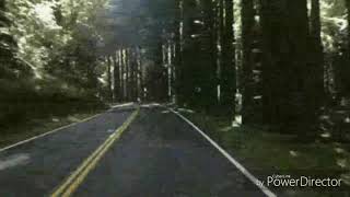 Eddie Rabbitt Every Which Way but Loose Directed by Paul Phillips