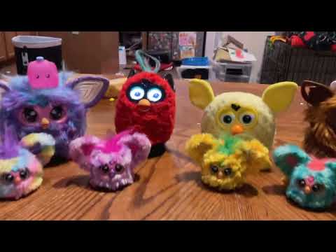 Happy Birthday to Loo-Lay the furblet!