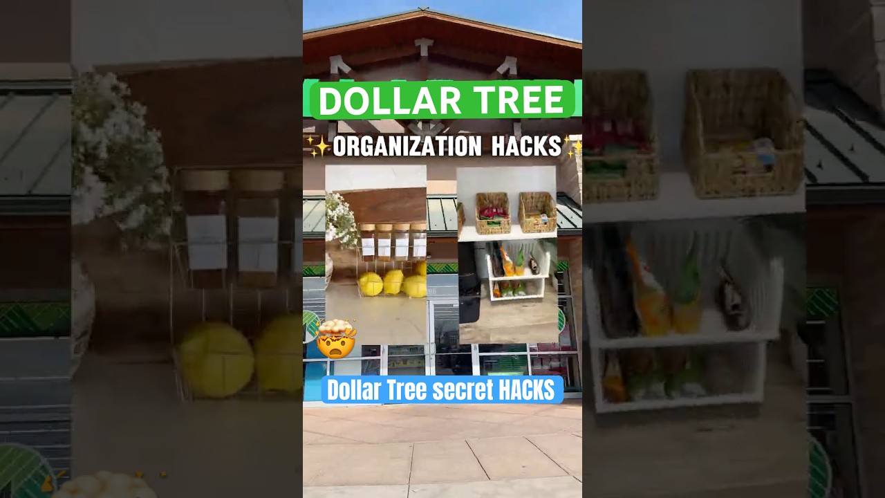 Dollar Tree ORGANIZATION hacks $1.25?! 🤯 you won’t believe these! #organization #dollartree #home
