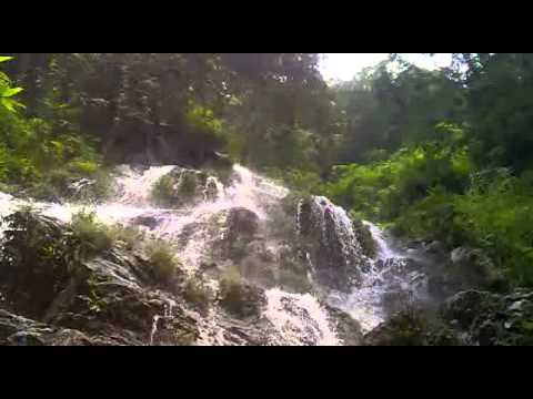 Kaziranga national park video