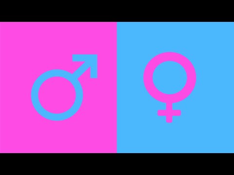 TEEDEE - BOYS AND GIRLS