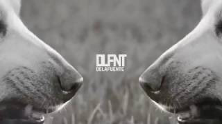 C.Tangana ft Rosalia, Antes de morirme | delafuente