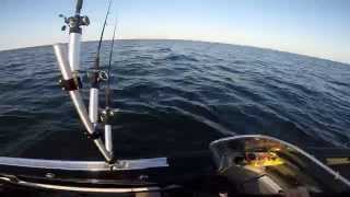 preview picture of video 'Walleye Fishing, Saginaw Bay, Lake Huron, Au Gres, MI'