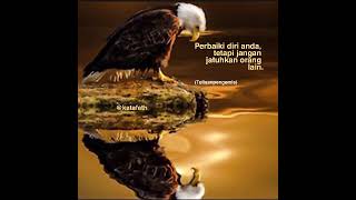 Download lagu story wa (perbaiki diri anda) mp3 Download lagu story wa (perbaiki diri anda) mp3