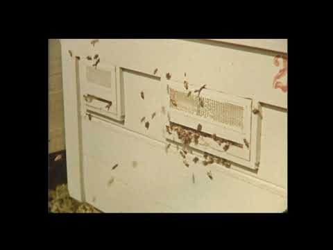 MAGYARORSZÁG MÉZORSZÁG