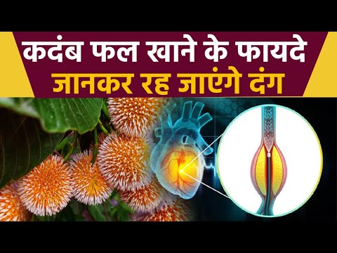 कदंब फल खाने से क्या होता है,कदंब फल खाने के फायदे |Boldsky*Health