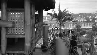 I Just Don&#39;t Want To Be Lonely (w/LYRICS) by Main Ingredient  (1974)