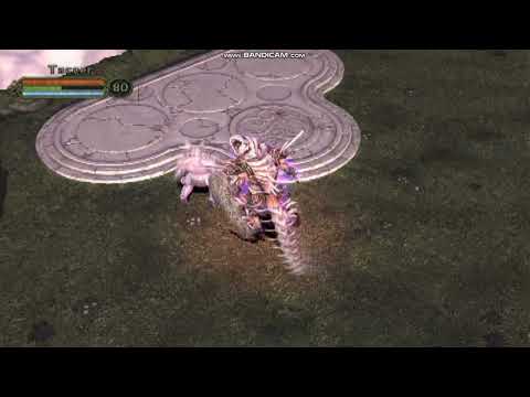 Champion return to arms final boss (legendary/evil)