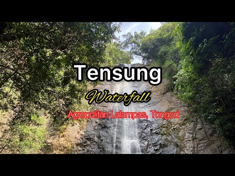 Tensung Waterfall, Agropolitan Lalampas, Tongod. 💯 📍Sabah