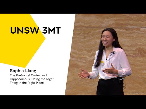 UNSW 3MT 2022 - The Prefrontal Cortex and Hippocampus: Doing the Right Thing in the Right Place