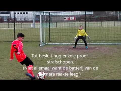 PVCV - Desto (Jo010-1)